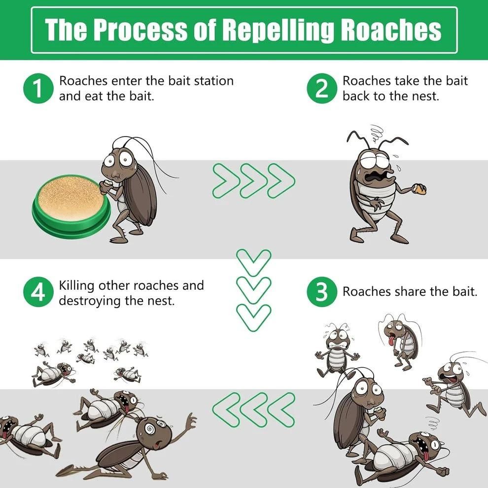 Cockroach Killer Gel – Powerful & Long-Lasting Solution for Complete Roach Elimination (Buy 1 Get 1 Free)