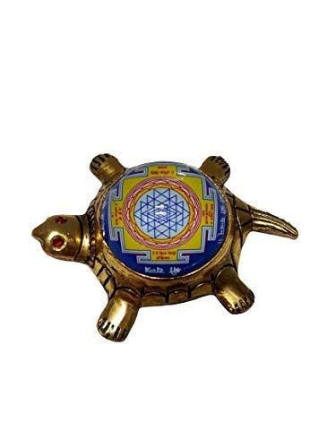 Dhan Laxmi Tortoise (Kachua) – Symbol of Wealth, Prosperity & Good Luck for Home and Office