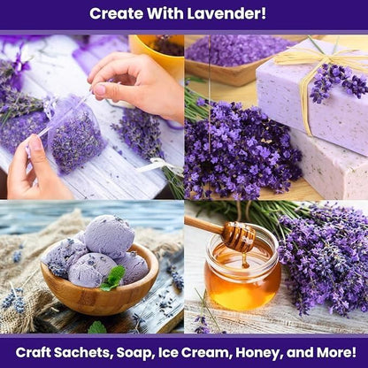 Lavender Seeds for Planting – Fragrant Blooms for Garden, Balcony & Home Décor (350 gm)