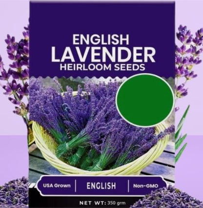 Lavender Seeds for Planting – Fragrant Blooms for Garden, Balcony & Home Décor (350 gm)