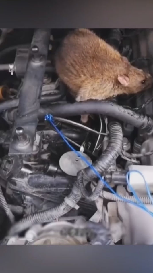 Rat Repellent Spray for Car 200ml